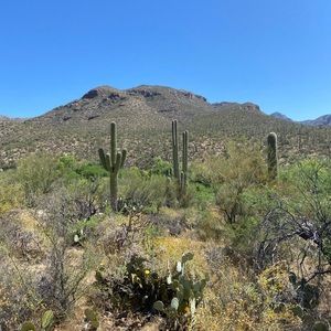 Meet your Posher, Alexander